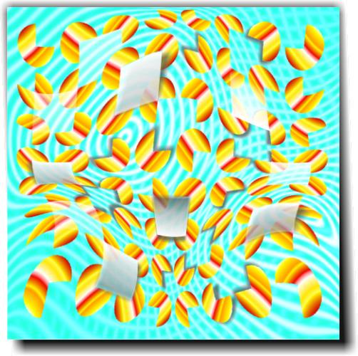 galery image